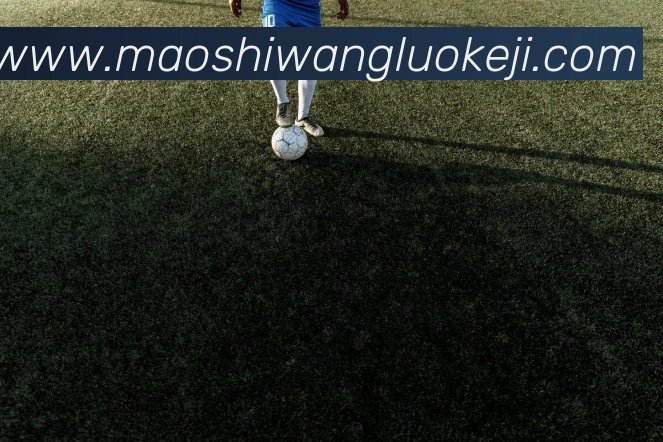 奖项证书